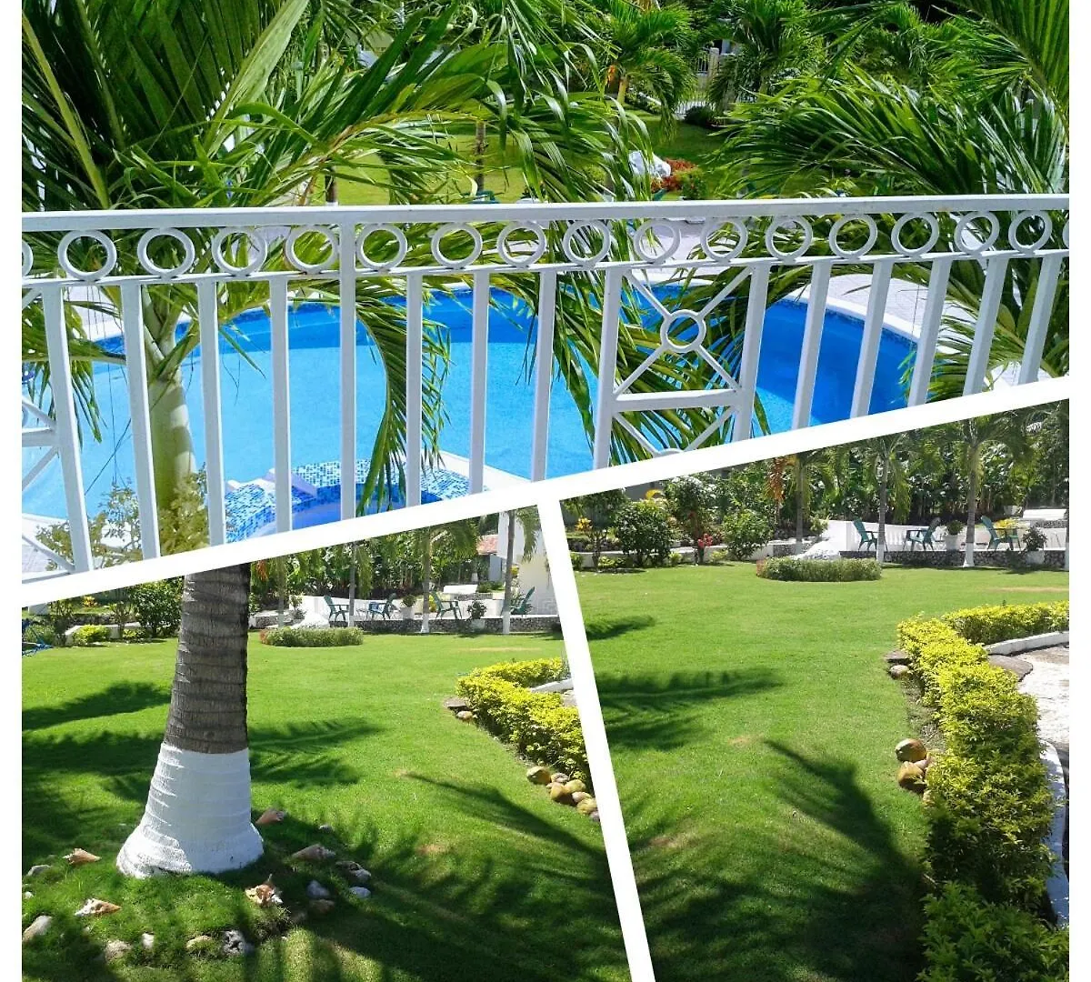Pensjonat Turquoise Sea Villa Montego Bay